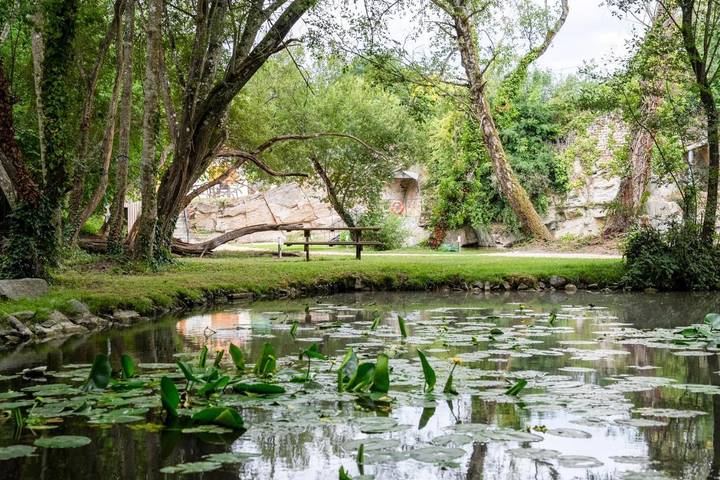 Location de vacances pour 2 personnes, avec jardin ainsi que vue et vue sur le lac à Condé-sur-Sarthe - 3