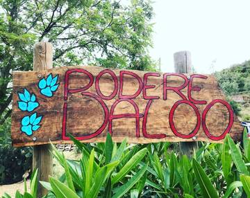 Location de vacances pour 4 personnes, avec piscine ainsi que vue et jardin à Suvereto