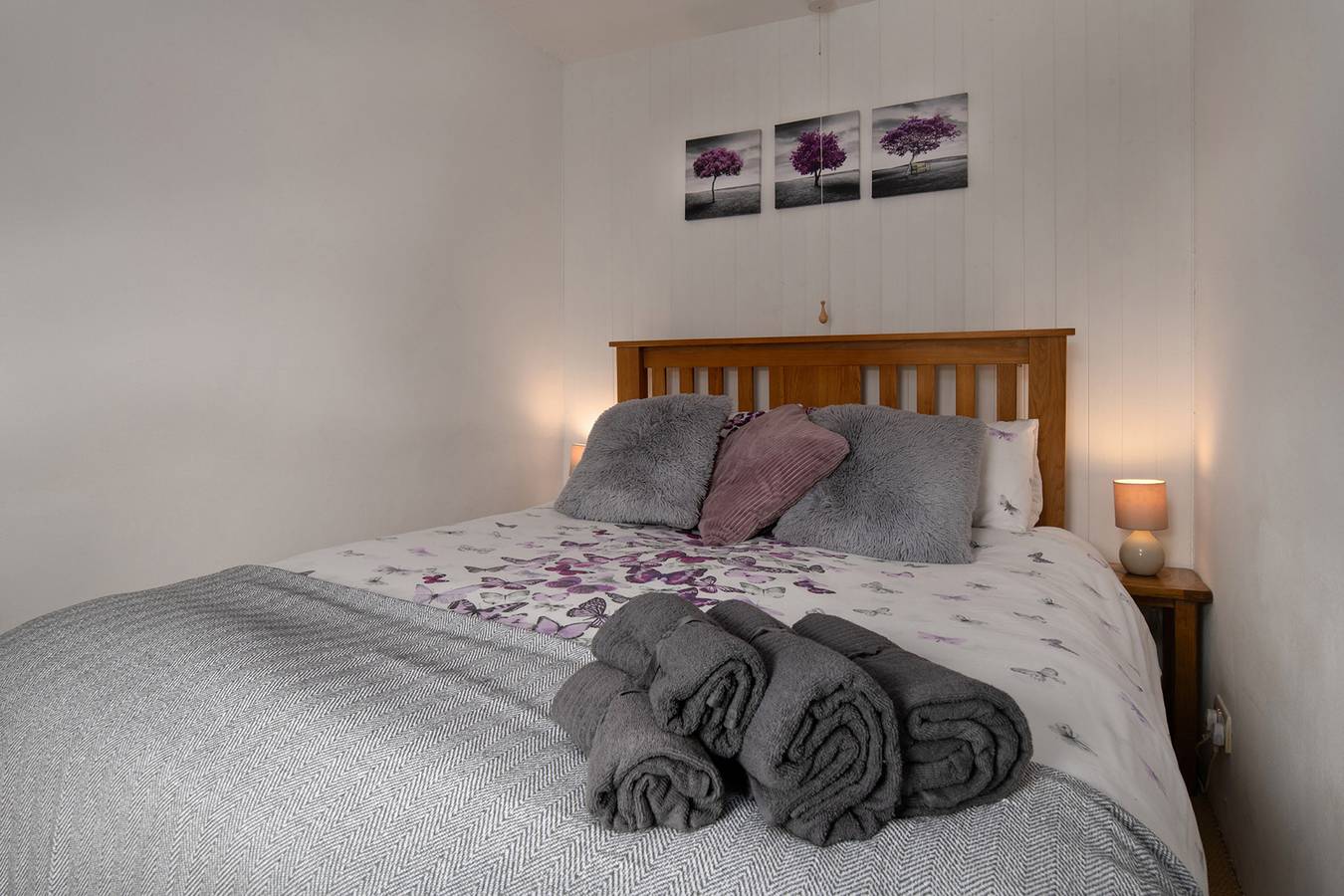 Bron Elan in Snowdonia