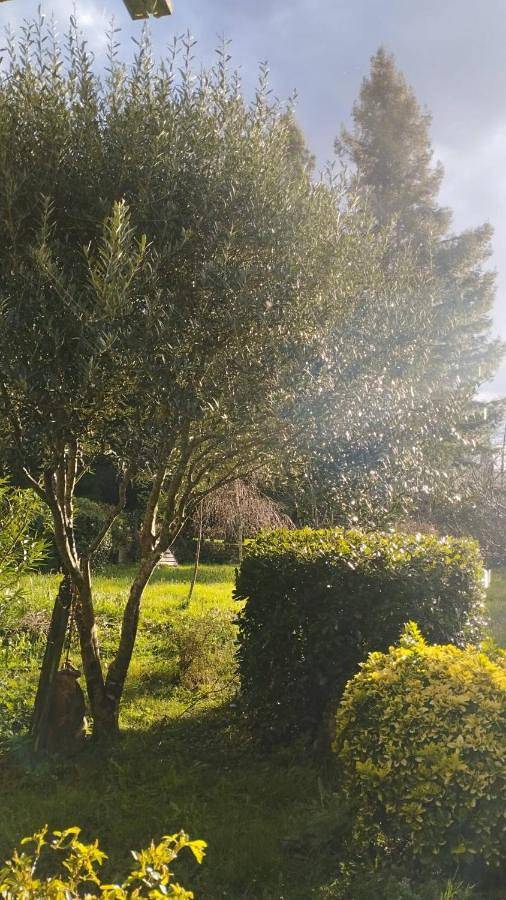 Location de vacances pour 10 personnes, avec terrasse à Cadillac (entreprise) - 3