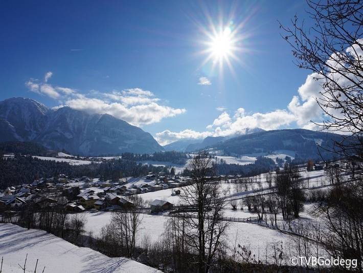 Ferienhaus für 12 Personen, mit Garten und Balkon, kinderfreundlich in Ski Amadé - 3