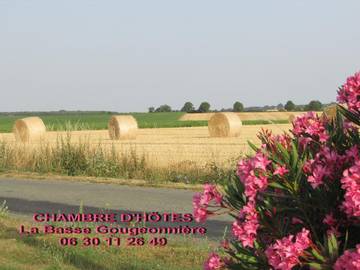Chambre d’hôte pour 2 personnes, avec vue et jardin dans Maine-et-Loire