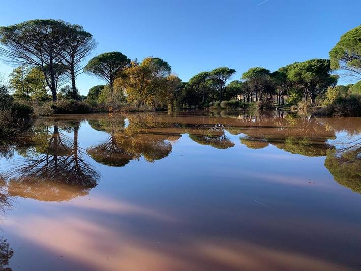 Chambre d’hôte pour 4 personnes, avec vue ainsi que balcon et jardin à Vidauban - 3