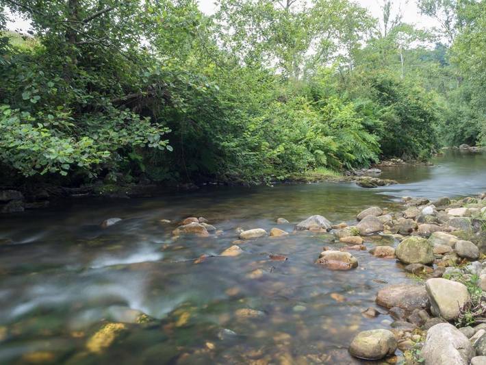 Casa rural para 4 personas, con vistas y jardín en Cangas de Onís - 3