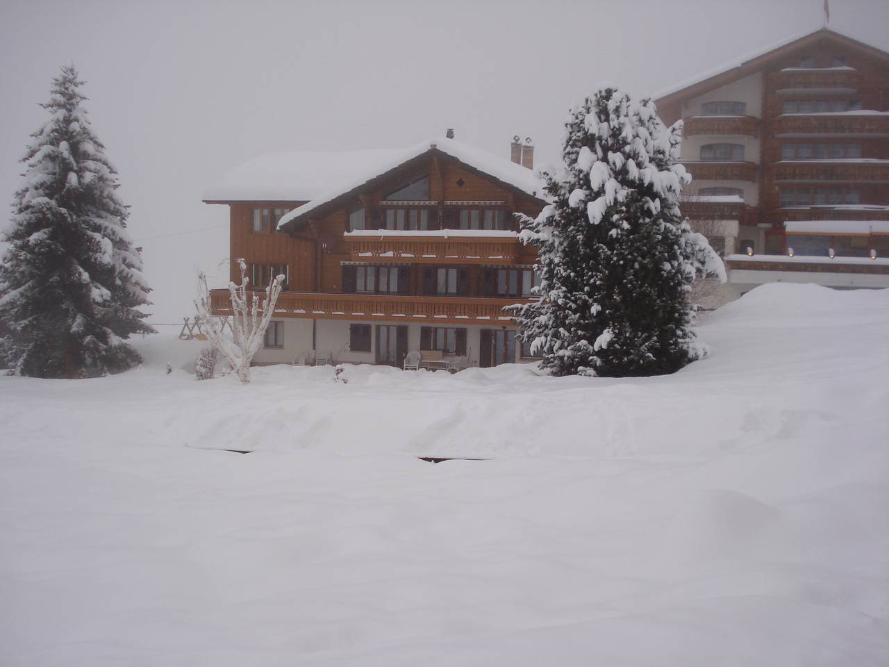 Ganze Ferienwohnung, Chalet Petunia - 4-5-Bettwohnung in Grächen, Walliser Alpen