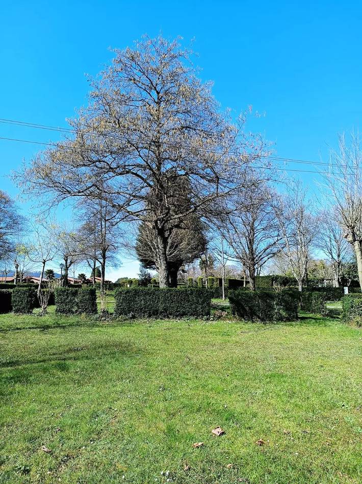 Mobil home pour 4 personnes, avec terrasse et piscine, animaux acceptés à Cudillero - 4