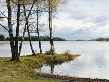 Ferienhaus für 4 Personen in Hylte, Bolmen, Bild 1