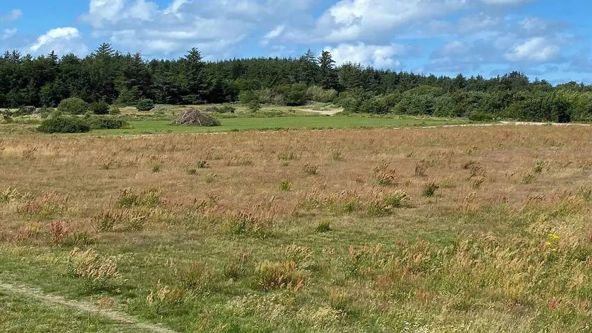 Ferienhaus für 11 Personen, mit Sauna und Terrasse sowie Whirlpool, mit Haustier in Grønhøj Strand - 3