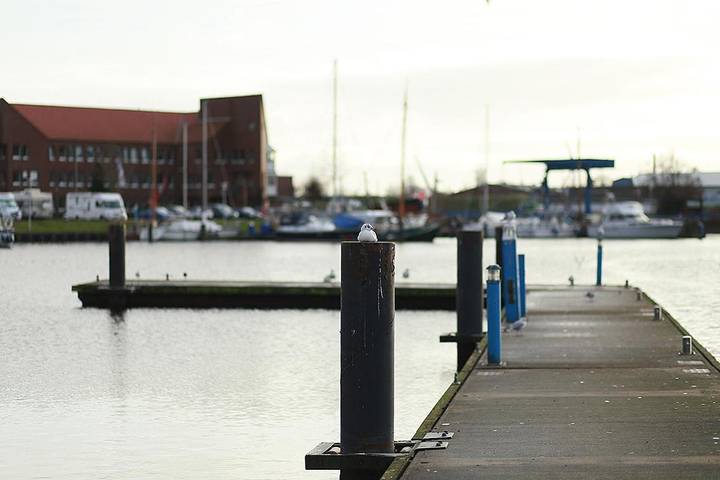Ferienwohnung für 2 Personen, mit Seeblick und Ausblick in Emden - 3