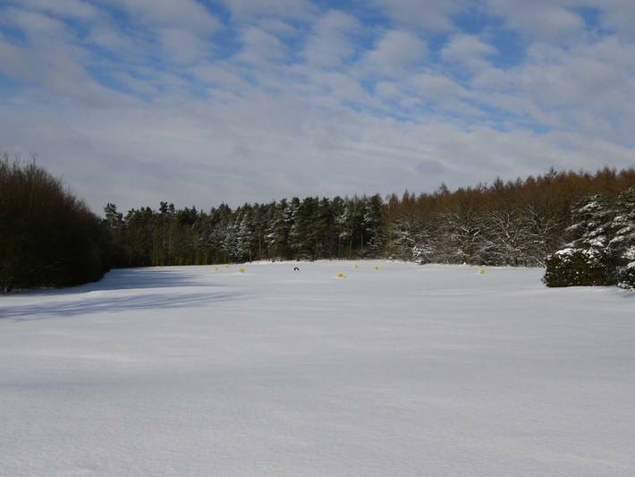 Ferienwohnung für 3 Personen, mit Sauna, mit Haustier in Hasetal - 4