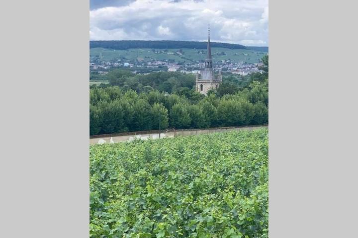 Gîte pour 4 personnes à Ay (Marne) - 2