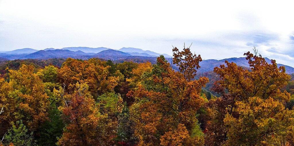 Mtn. Aussicht & gemütlich! Keine sauberen Gebühren! in Sevier County