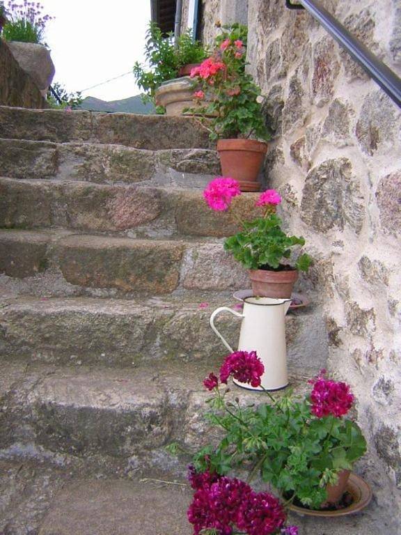 Location de vacances pour 2 personnes, avec vue ainsi que terrasse et jardin à Thueyts - 4