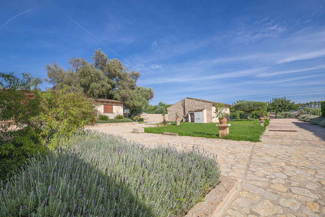 Entire apartment, Apartamento Son Calo C by Rentallorca in Petra, Majorca Center