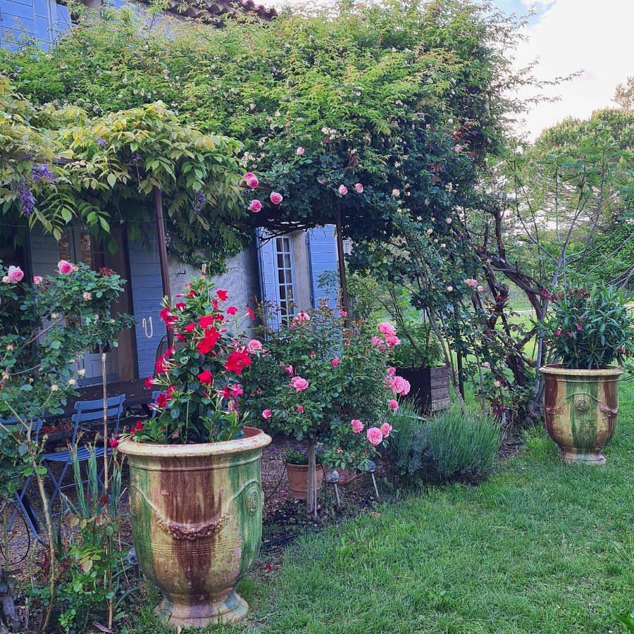 Double Room in Mane, Parc naturel régional du Luberon