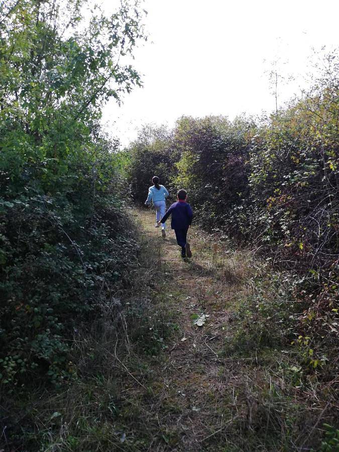 Location de vacances pour 8 personnes, avec terrasse et vue à Saint-Laurent-de-la-Prée - 2