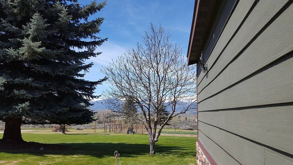 Ahhh, Montana! Peace & Quiet mit fabelhaften Ansichten! Perfekt für Familien On-The-Go in Ravalli County