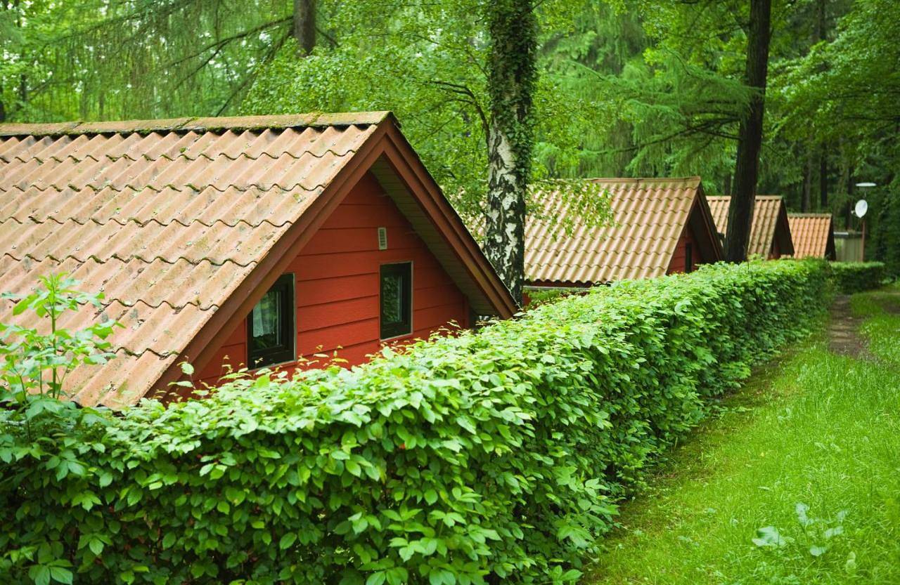 Waldidylle - Bungalows an der Talsperre Kriebstein in Kriebstein, Chemnitz und Umgebung