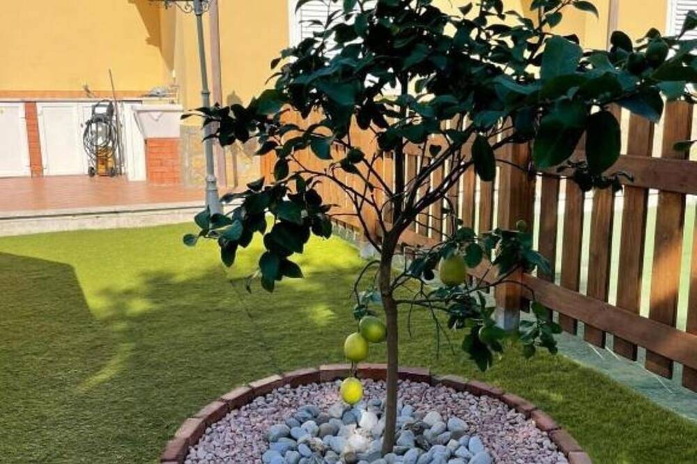 Entire apartment, Villa Karillos in Marina di Camerota, Camerota