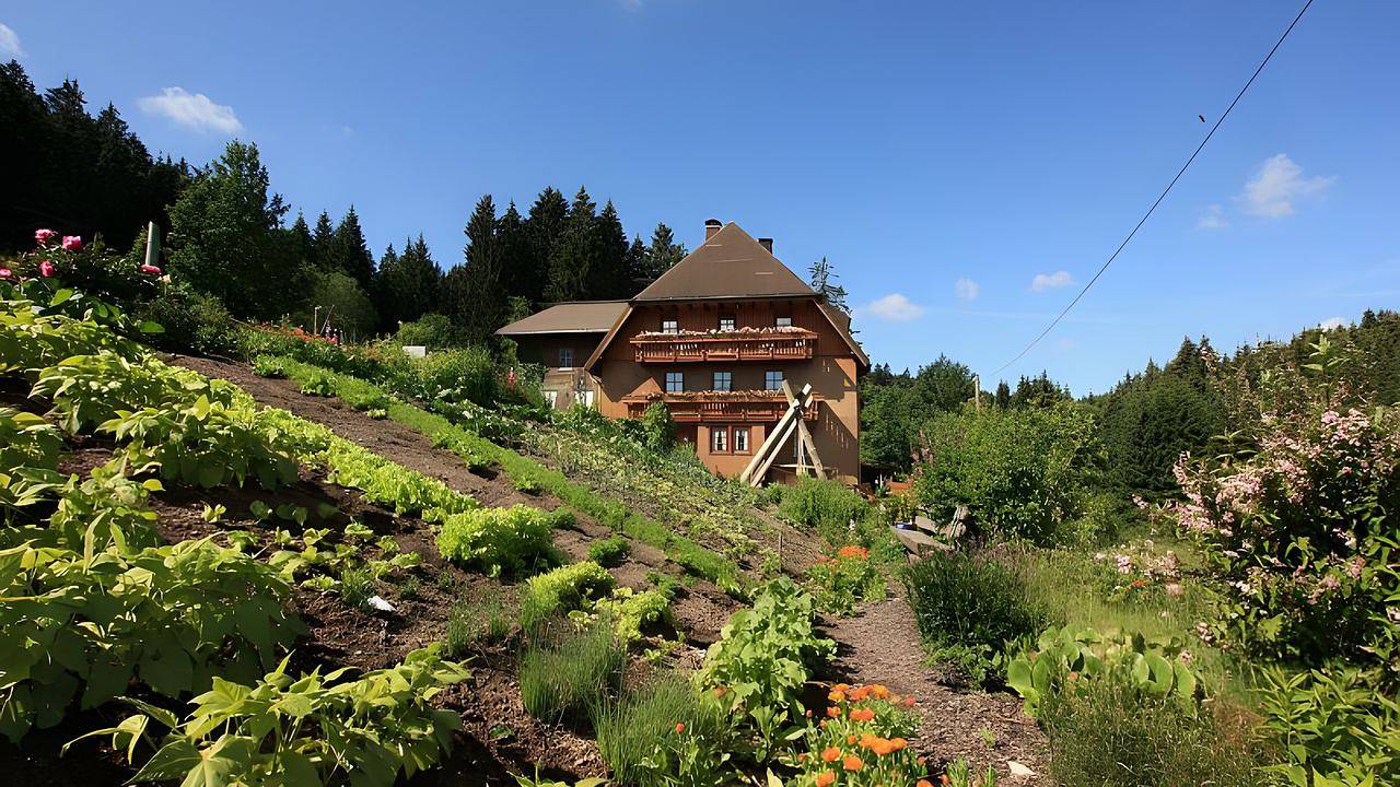 Ganze Ferienwohnung, Ferienwohnung für 4 Personen (55 m²) in Schonach im Schwarzwald in Schonach im Schwarzwald, Südschwarzwald