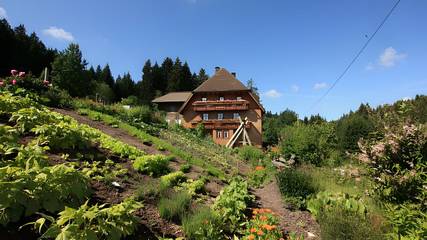 Ferienwohnung für 4 Personen in Schonach im Schwarzwald, Hochschwarzwald, Bild 2