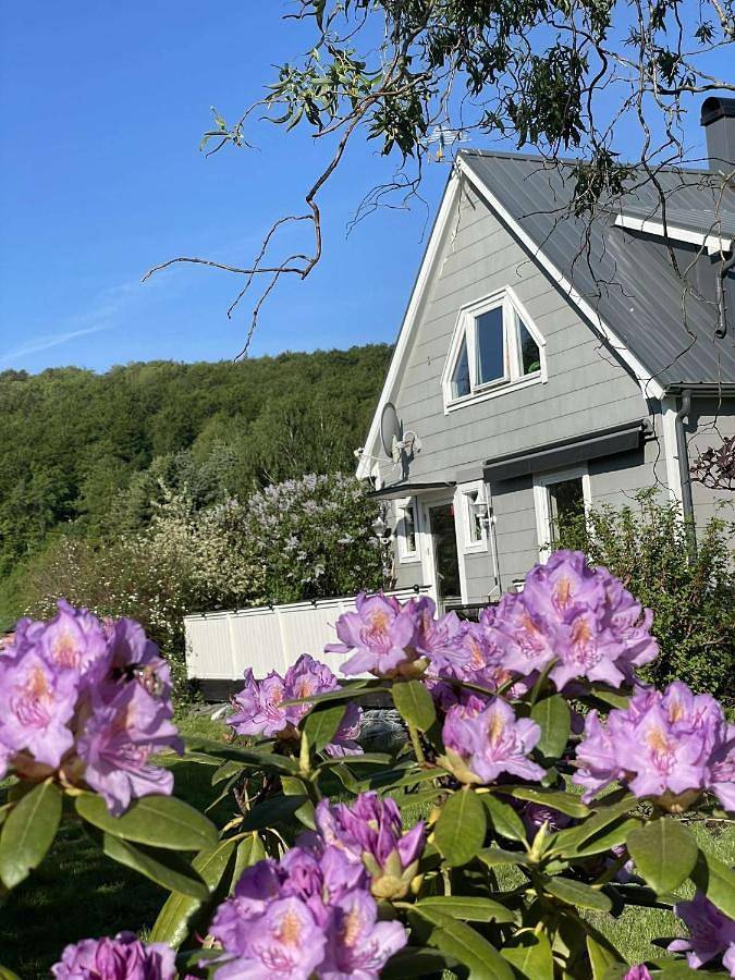 Ferienhaus für 7 Personen, mit Ausblick und Garten, mit Haustier - 1