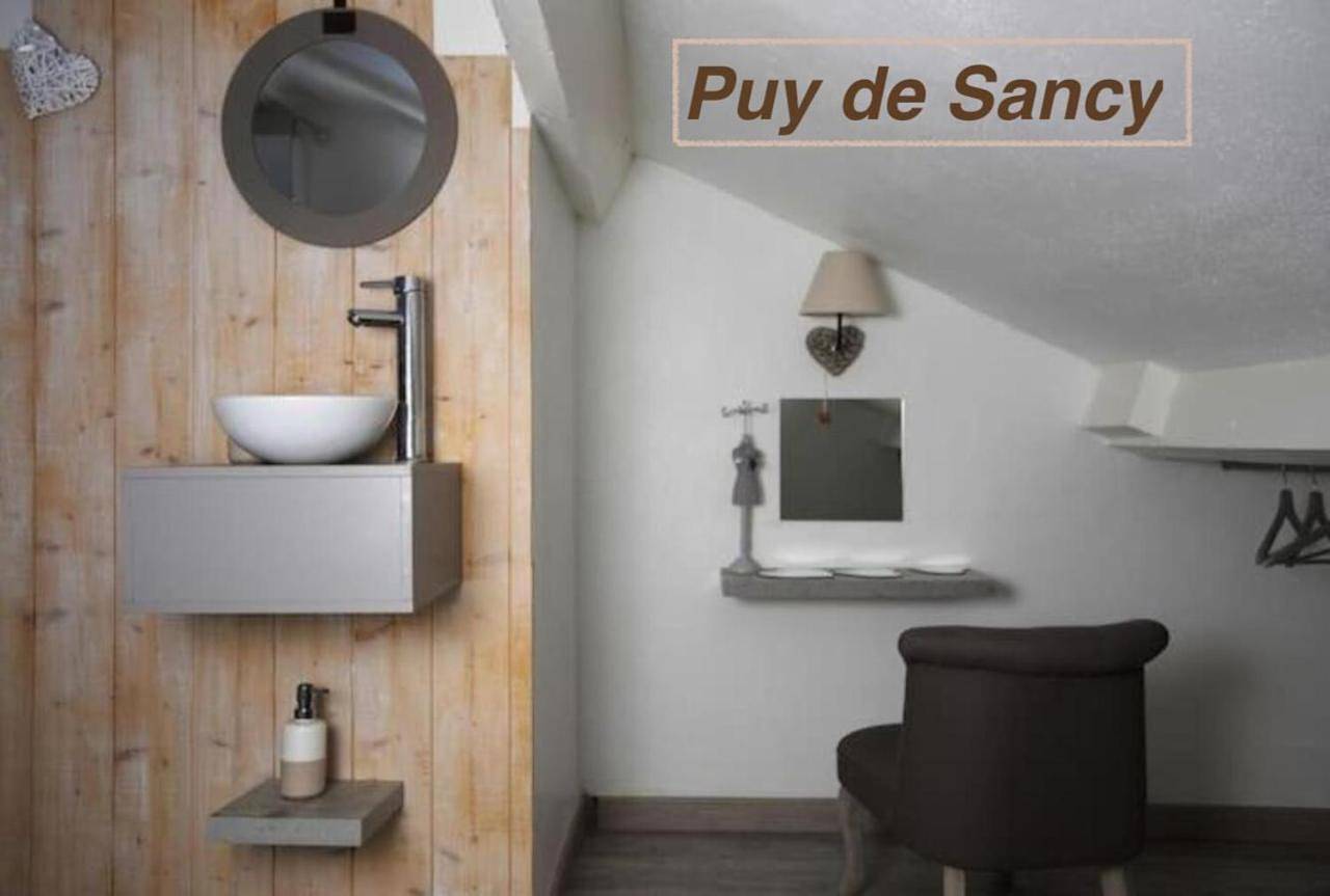 Appartement entier, Studio Apartment in Clermont-Ferrand, Parc naturel régional des Volcans d'Auvergne