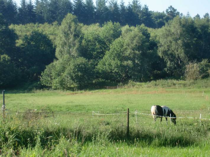 Ferienwohnung für 2 Personen, mit Garten im Stettiner Haff - 4