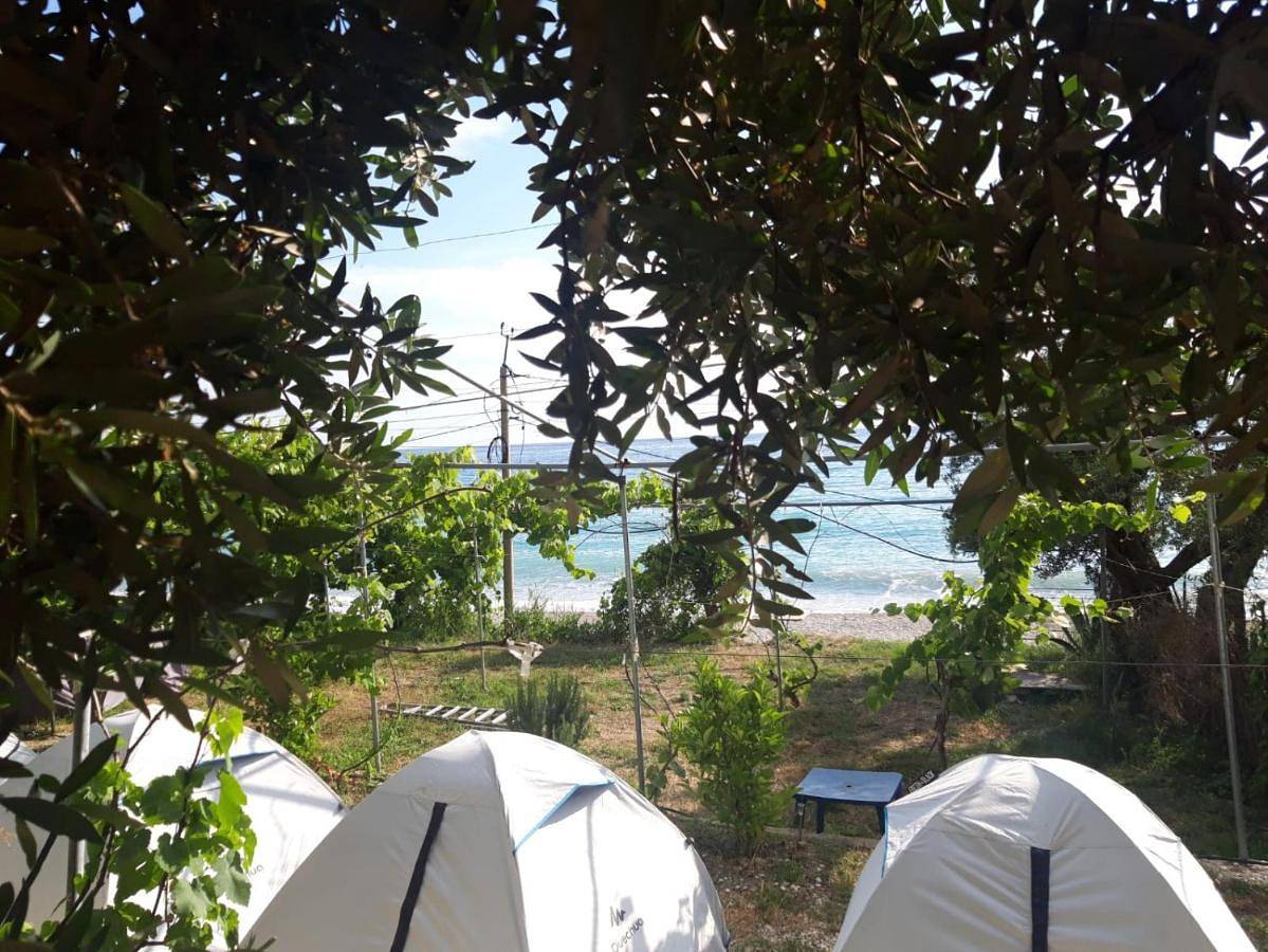 Camping Jungle in Borsh in Lukowa, Wlora