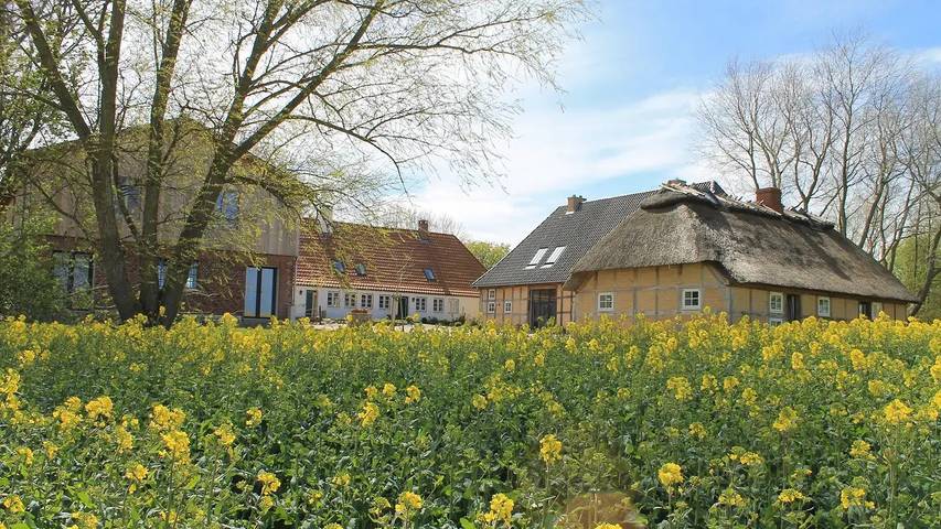 Ferienhaus für 39 Personen, mit Garten und Terrasse sowie Sauna in Pommerby
