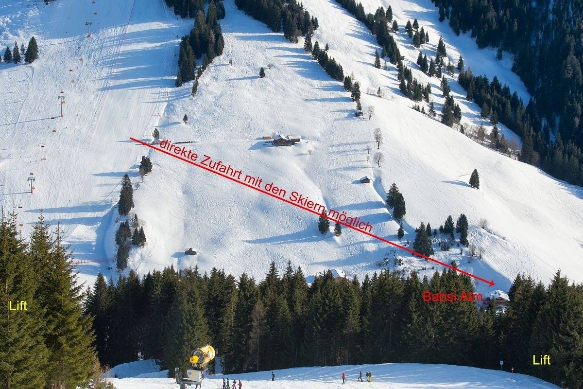 Ganze Ferienwohnung, B/Apartment Kitzbühel in Dienten am Hochkönig, Pinzgau