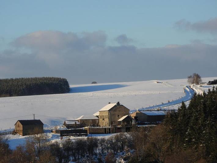 Location de vacances pour 12 personnes, avec balcon ainsi que jacuzzi et sauna, adapté aux familles dans Erneuville - 2