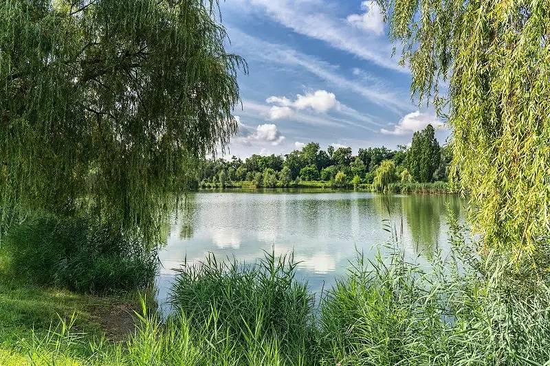 Ganze Wohnung, Campingfass für bis zu 4 Personen 2 bis 4 Personen - 2 Personen. im Preis inbegriffen in Bad Friedrichshall, Landkreis Heilbronn