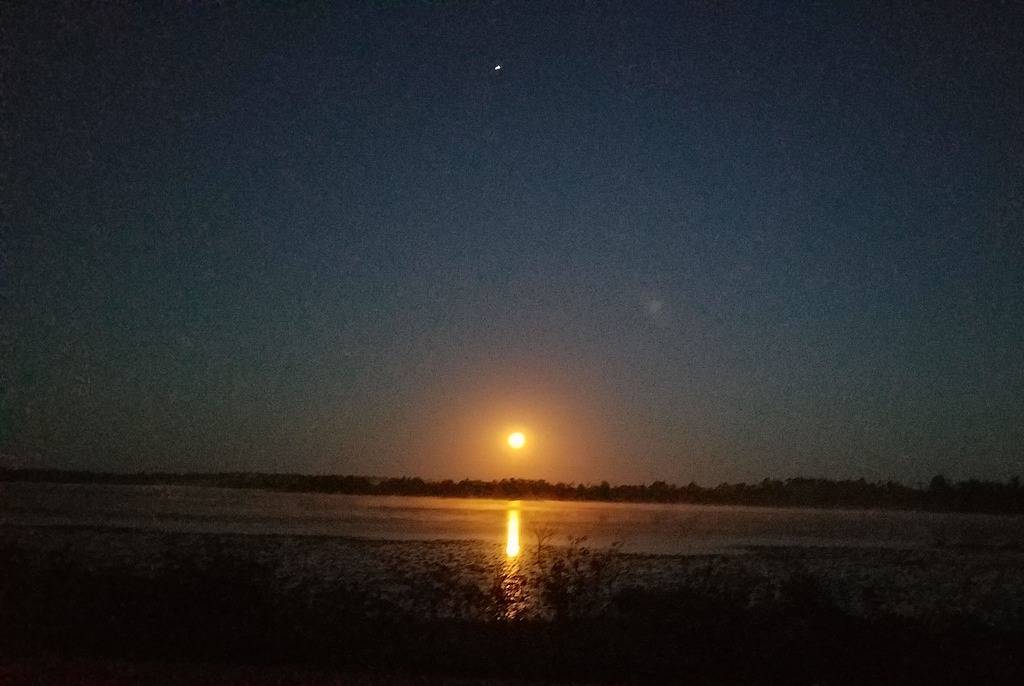 Lake Cottage, nur 1,6 km von den Spring Creek Park Boat Ramps entfernt in Georgia