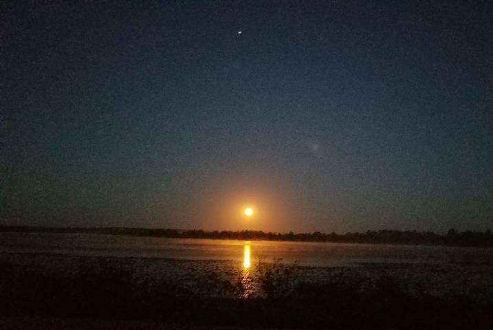 Ferienhaus für 4 Personen, mit Garten - 1