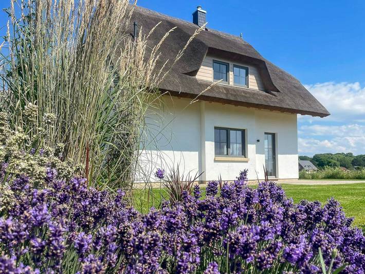 Ferienhaus für 5 Personen, mit Sauna und Terrasse, kinderfreundlich in Dranske