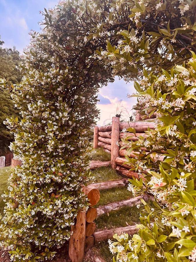 Maison d’hôte pour 2 personnes, avec terrasse et jardin ainsi que vue et sauna, animaux acceptés