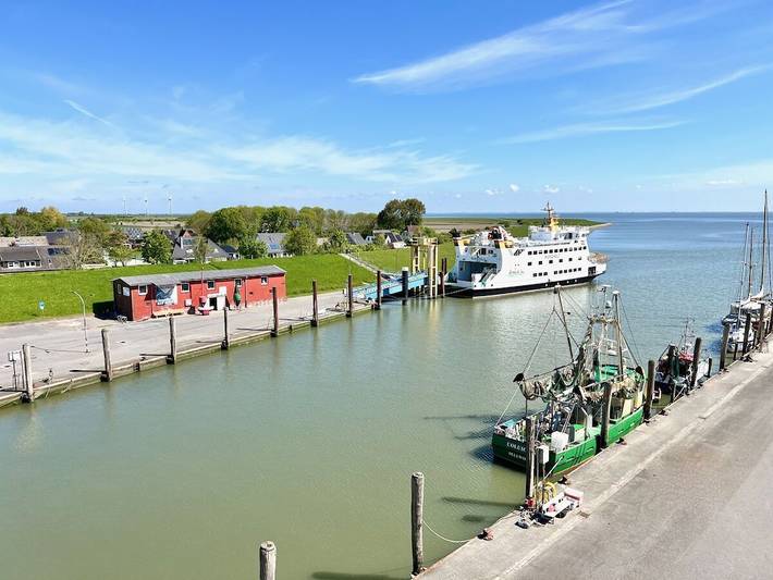 Ferienhaus für 4 Personen, mit Sauna in Pellworm - 4