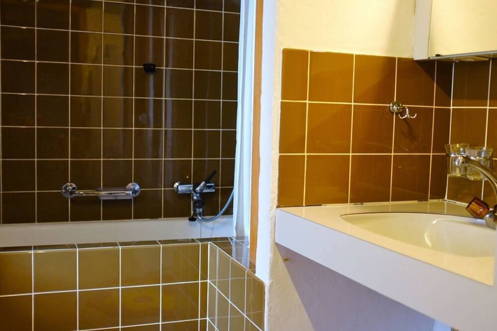 Ganze Wohnung, Chisti Lumerins, Lumbrein, (Lumbrein), 48002B in Lumnezia, Obersaxen-Mundaun