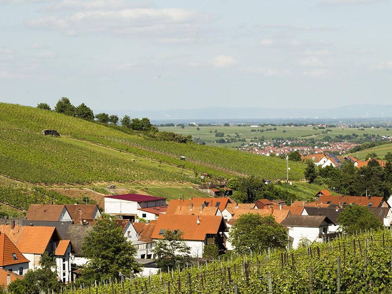 Ganze Ferienwohnung, Ferienwohnung "Zur Quelle" - Appartement/Fewo, Dusche, Wc in Ranschbach, Trifelsland