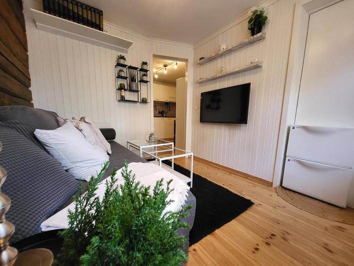 Gîte pour 4 personnes dans Trondheim - 4