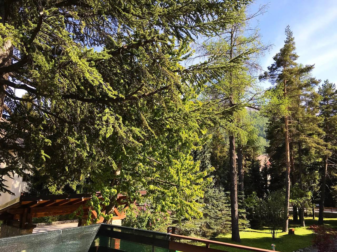 Apartamento entero, 5 estancias 7 Personas in Bardonecchia, Provincia de Torino