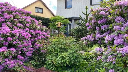 Ferienwohnung für 4 Personen, mit Terrasse und Garten in Waltershausen
