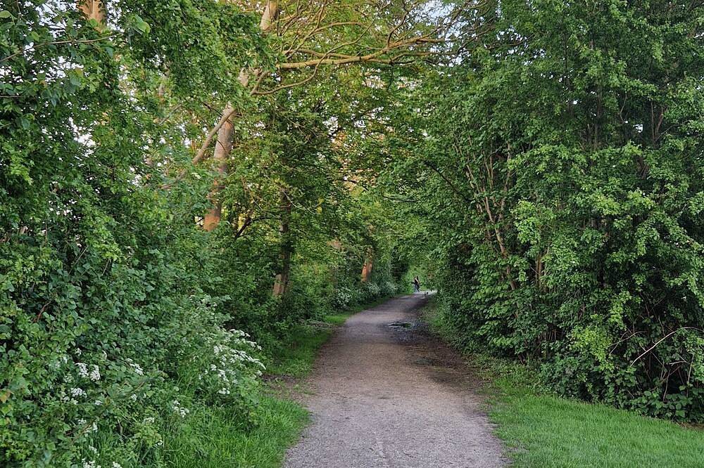 3 bedroom chalet in hensbroek in Holländische Küste