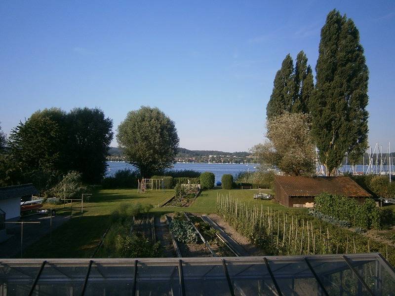 Ganze Ferienwohnung, Ferienwohnungen Hohes Haus - P. Wehrle - 1-Zimmer-Fewo, 1. Etage, 20 m² in Reichenau, Untersee