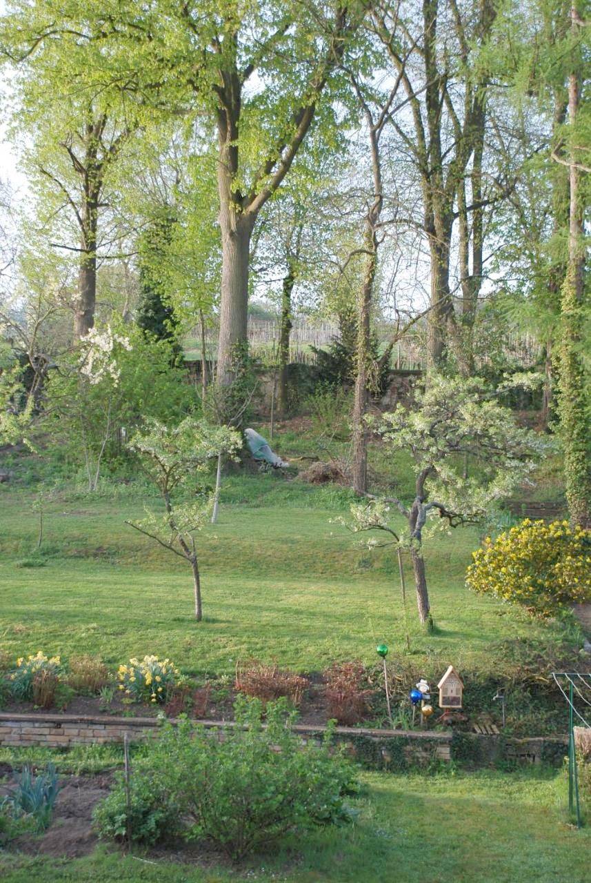 Holiday Home in Scharrachbergheim-Irmstett, Nord de l'Alsace