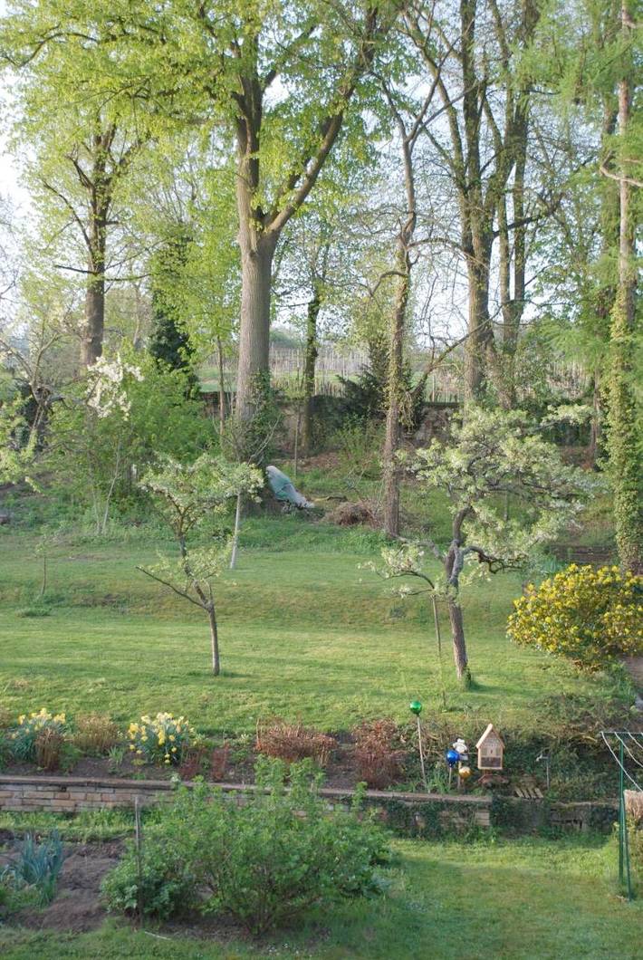 Location de vacances pour 6 personnes, avec jardin à Scharrachbergheim-Irmstett - 3