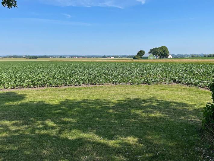 Ferienhaus für 8 Personen, mit Garten, kinderfreundlich in Skane - 4