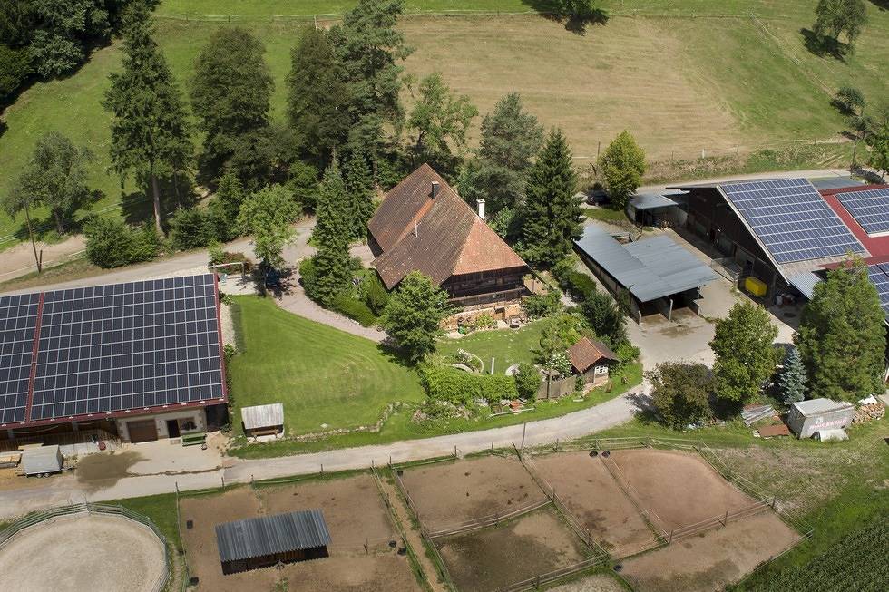 Ganze Ferienwohnung, Ferienwohnung Schwörerhof - Ferienwohnung Bergblick, 93qm, 3 Schlafzimmer, 2 Badezimmer, max.7 Personen in Seelbach, Mittlerer Schwarzwald