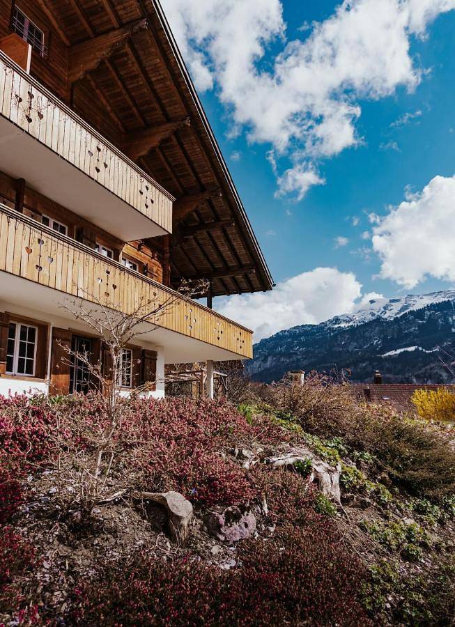 Gîte pour 10 personnes, avec vue ainsi que sauna et terrasse à Brienzwiler - 3